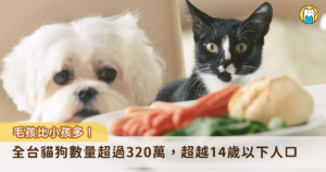 越來越多毛孩進入家庭！農業部發布最新全台貓狗數量調查，114 年全國家犬、家貓數量達到 320 萬隻，犬隻近兩年增加的數量趨近穩定，貓咪數量大幅增加，相較 112 年增加約 43 萬隻，增加 32.8%，而 114 年 0 至 14 歲人口數為 260 萬，全台貓狗數量正式超越 14 歲以下孩童人口。