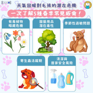 隨著氣溫逐漸回暖，不少飼主開始帶著毛孩外出踏青、散步。不過，美國獸醫協會提醒，春季雖然舒適宜人，卻也暗藏多種對寵物健康不利的風險。從環境中的有毒物質到寄生蟲威脅，都可能影響毛孩安全。以下整理出春季常見的 5 大潛在危機，飼主不可不知：