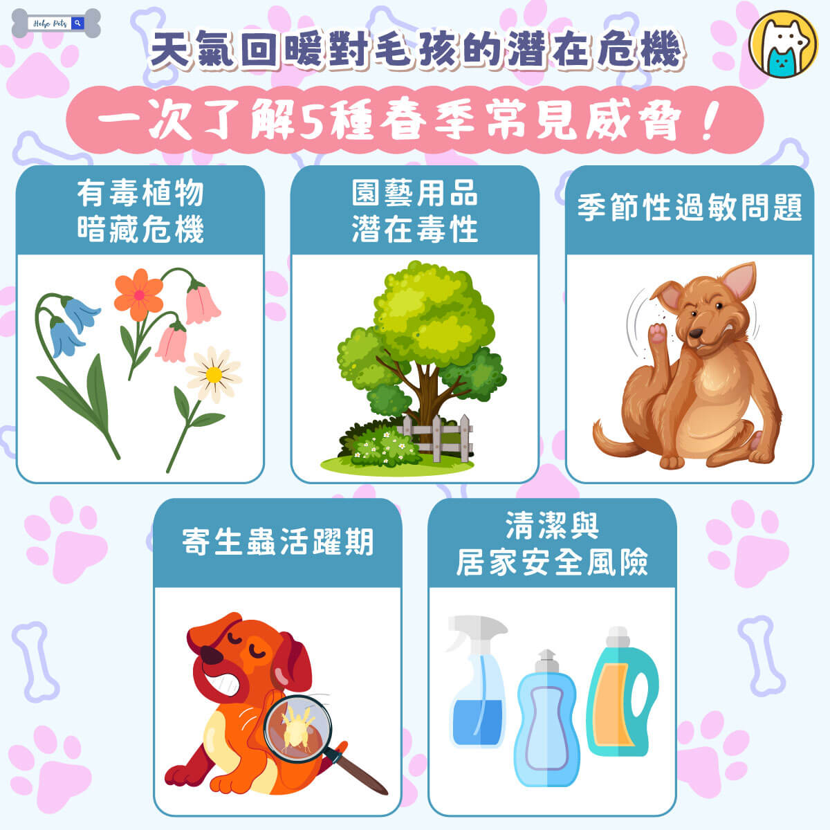 隨著氣溫逐漸回暖，不少飼主開始帶著毛孩外出踏青、散步。不過，美國獸醫協會提醒，春季雖然舒適宜人，卻也暗藏多種對寵物健康不利的風險。從環境中的有毒物質到寄生蟲威脅，都可能影響毛孩安全。以下整理出春季常見的 5 大潛在危機，飼主不可不知：