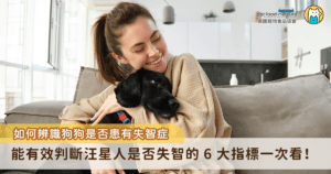 失智症又稱犬類認知功能障礙（Canine Cognitive Dysfunction Syndrome, CCD），是一種與年齡相關的大腦退化性疾病，與人類阿茲海默症類似，但不完全相同。一般常見於老年狗狗（尤其 8 歲以上），發生機率隨年齡越大越高，此外，這種認知退化現象不可逆且目前無法根治，但能透過適當照護延緩惡化並提升生活品質。