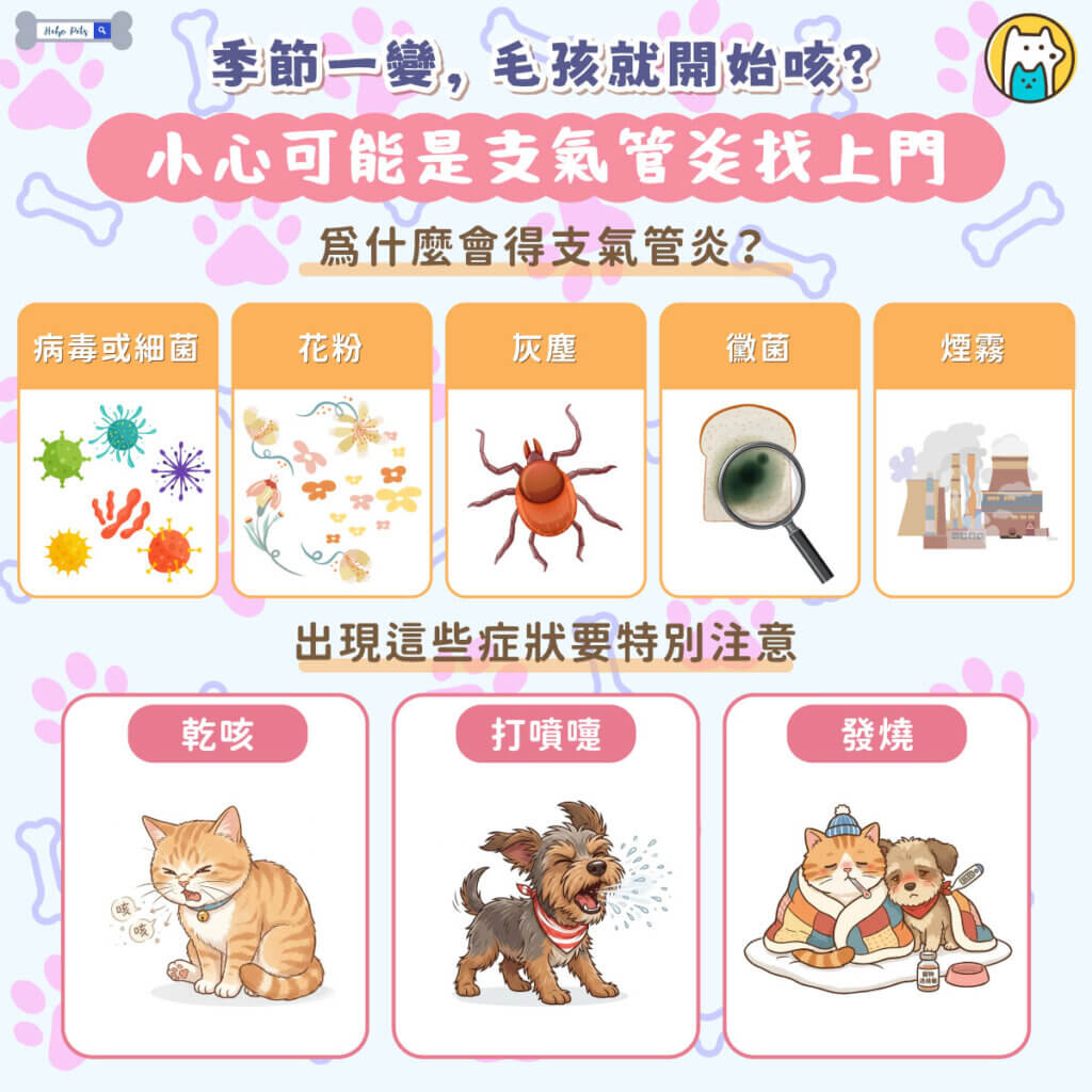 每逢季節交替，氣溫與濕度忽冷忽熱，不只人容易感冒，犬貓的呼吸道也會受到影響。許多飼主會發現，毛孩在這段時間特別容易出現咳嗽、打噴嚏或喘氣的情形，其中常見原因之一就是「支氣管炎」。這是一種發生在氣管與支氣管的發炎反應，若沒有及時處理，可能演變為慢性問題，長期影響毛孩健康。因此，掌握相關症狀與照護方式相當重要。