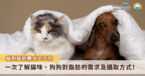 現代人類飲食常強調低脂、減脂，飼主們難免會開始擔心，飼料裡的脂肪會不會太高？實際上，脂肪對狗狗和貓咪來說，不全是壞東西，甚至是不可或缺的營養來源之一。