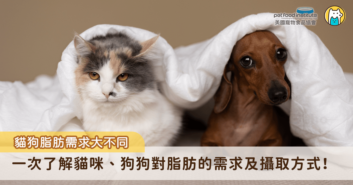 現代人類飲食常強調低脂、減脂，飼主們難免會開始擔心，飼料裡的脂肪會不會太高？實際上，脂肪對狗狗和貓咪來說，不全是壞東西，甚至是不可或缺的營養來源之一。