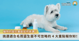 腸道其實不只是一個消化食物的地方，更是重要的免疫防線，毛孩體內有相當大比例的免疫細胞分布在腸道中。而益生菌作為一種活性微生物，適量補充時可以幫助增加腸道內的好菌數量，改善菌叢平衡，當菌叢平衡時，好菌能幫助抑制壞菌生長、維持腸道屏障完整，也能促進營養吸收。反之，若腸道環境失衡，不只影響消化，長期下來甚至可能影響毛孩免疫力。