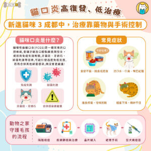 新北市三峽一隻虎斑浪貓「魷魚哥」，因罹患嚴重口炎被通報救援，送至動保處時不僅因疼痛整天蜷縮角落，還出現食慾不振、體重下降等情形。照護期間，獸醫師除了進行藥物治療，也搭配軟質食物、口腔清潔與耐心陪伴，經過一段時間照顧後，魷魚哥逐漸恢復食慾與精神，嘴角流口水情況也明顯改善，重新找回健康模樣。