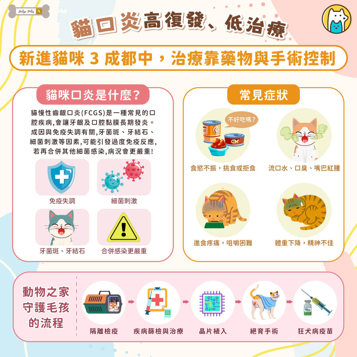 新北市三峽一隻虎斑浪貓「魷魚哥」，因罹患嚴重口炎被通報救援，送至動保處時不僅因疼痛整天蜷縮角落，還出現食慾不振、體重下降等情形。照護期間，獸醫師除了進行藥物治療，也搭配軟質食物、口腔清潔與耐心陪伴，經過一段時間照顧後，魷魚哥逐漸恢復食慾與精神，嘴角流口水情況也明顯改善，重新找回健康模樣。