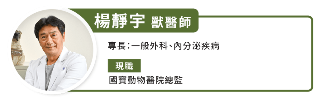 春夏毛孩皮膚癢、打噴嚏! 獸醫分享春夏照護指南、保健品該吃哪些 春夏季節交替之際,氣溫逐漸升高、濕度也明顯增加,不少飼主會發現家中毛孩開始頻繁抓癢、掉毛變多,甚至出現打噴嚏、軟便、食慾下降等情況。對此,國寶動物醫院的楊靜宇獸醫師提醒,台灣屬於亞熱帶氣候,春夏期間高溫潮濕,往往也是細菌、黴菌與寄生蟲活躍的高峰期,若平時沒有做好環境管理與保健,毛孩健康問題容易一次爆發。