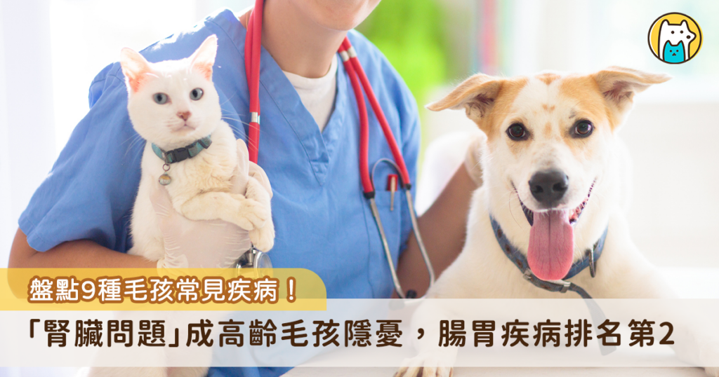 對許多飼主來說，毛孩就像是一起生活的家人，總希望能給予牠們最健康舒適的生活。不過，由於牠們不像人類能直接表達身體不適，導致許多疾病往往在症狀嚴重時才被察覺，不僅錯失了黃金治療期，也讓不少飼主感到心疼與自責。本篇文章整理網友熱議的九大「貓狗常見疾病」，帶大家一起了解毛孩常見健康問題，幫助飼主及早察覺、及時預防！