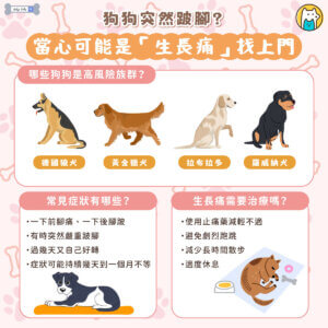 大型幼犬如果沒有受傷、也沒有激烈運動，卻突然出現跛腳症狀，甚至一下前腳痛、一下後腳跛，飼主就要注意，這可能是「全骨炎（Panosteitis）」，也就是俗稱的狗狗生長痛。