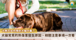 台灣夏季高溫經常飆破 30 度，對犬貓來說，不是只有「出門太久」或「過度曝曬」才會出問題，日常環境悶熱、身體缺水與電解質失衡，同樣會累積成健康危機。尤其短吻犬貓、肥胖犬貓等高危險族群的散熱能力更為受限，因此不只是在夏季減少非必要的戶外活動，日常預防尤為重要。