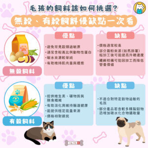 近年來無穀飼料受到不少飼主青睞，但無穀真的比有穀更健康嗎？其實兩者各有優缺點，並沒有絕對的好壞，關鍵在於是否符合毛孩的體質與需求。