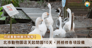 想前往台北市立動物園參觀的民眾要注意了！園方宣布，為了動物福祉，園區將在今年 (2026) 6 月 22 日起閉園 10 天，進行園區大型修繕工作，透過快速施工期程減緩對動物的干擾，因此 6 月 22 日至 7 月 1 日將不對外開放。