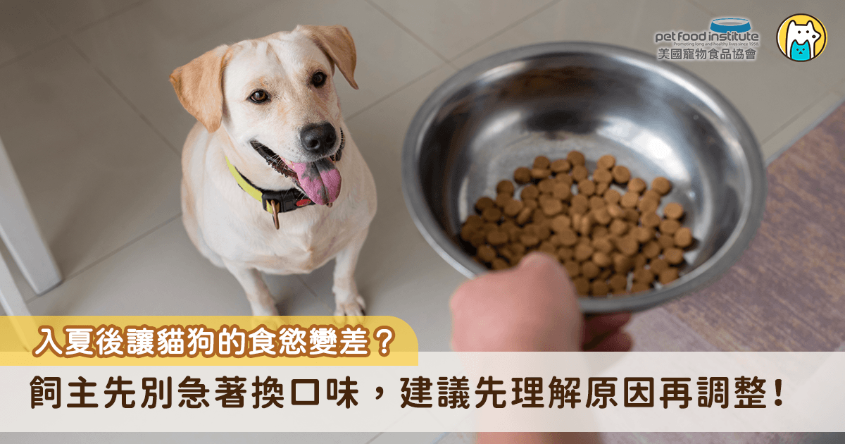 入夏之後，原本一放飯就吃光的狗狗或貓咪，開始對著碗裡的飼料興趣缺缺，吃幾口就走開，進食時間也越來越不固定，不少飼主第一個念頭是「是不是挑食了」或「飼料不合胃口」，於是急著換口味，結果反而越換越不吃。其實天氣熱時的食慾變化，和活動、散熱與消化都有關係，先理解原因再調整，通常比一直換飼料來得有效。