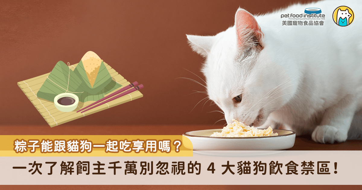 每年端午，家裡飄著粽香，貓狗眼睛睜得大大的湊過來聞，總讓人忍不住想分一口給牠。但你知道嗎？人類的食物對貓狗可能造成的傷害遠比飼主想像的嚴重。不只端午節不能讓寵物吃人類食物，以下貓狗飲食禁忌需於日常就嚴格遵守。