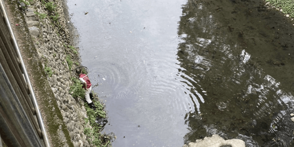 2個月幼犬掉進大排水溝上不來 獲救後露白襪+甜笑萌翻 新北市動保處日前接獲民眾通報,土城區中央路三段 281 巷旁大排水溝內發現一隻受困幼犬。動保員到場後發現,大排水溝深度約有 2 至 3 層樓高,地形陡峭且救援不易,經評估現場環境後,利用長鋁梯垂降至溝底,順利將幼犬救援上來,成功化解一場驚險意外。