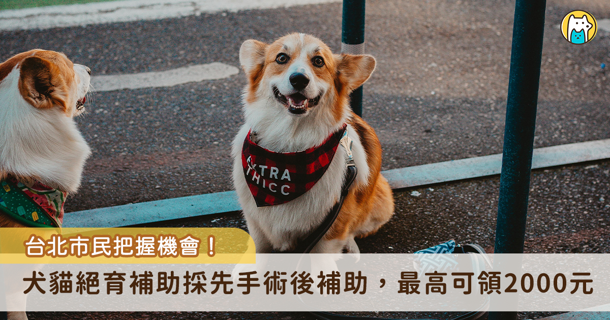 家中毛孩完成絕育登記能申請補助！台北市動保處自 88 年起，為鼓勵家犬貓絕育，每年編列百萬經費補助家犬貓絕育手術費用，今（2026）年截至 5 月 31 日止補助款餘額尚有 320 萬元可供申請，提醒民眾，符合相關資格後只要設籍台北市市民或居留證登記於台北市的外籍人士皆可申請。