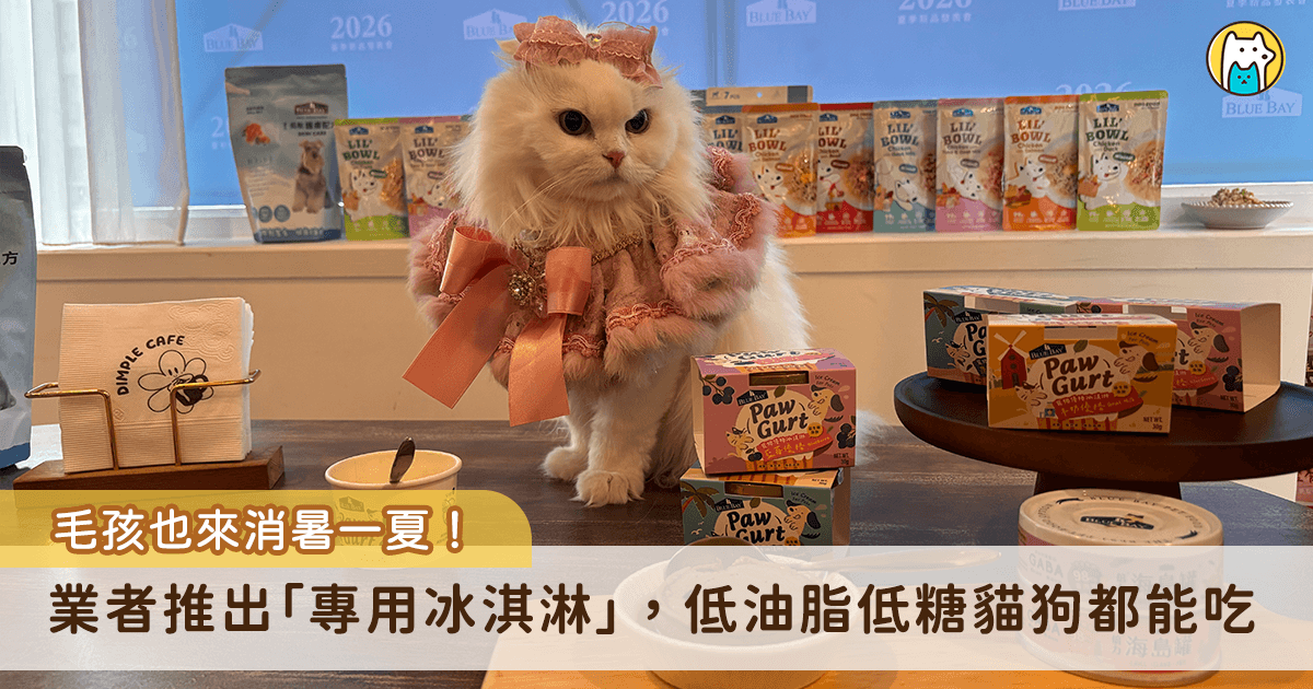 夏天來臨毛孩也需要清涼一下！台灣本土寵物品牌了解現代毛孩的飲食需求，今年夏天特別推出 3 大新品，包含益生菌潔牙片、肉蓉粥，以及全台首創添加益生菌的低糖低脂「寵物冰淇淋」，讓毛孩享受美味餐點的同時，也能幫助維持腸胃道健康。
