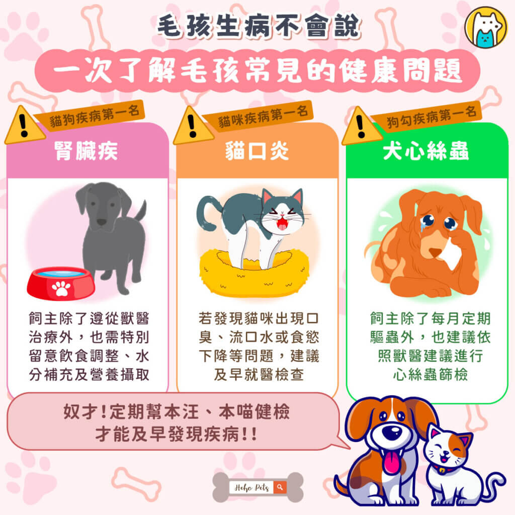對許多飼主而言，毛孩早已是家中的重要成員，但牠們無法直接表達身體不適，往往等到症狀明顯時才被發現，不僅增加治療難度，也讓飼主心疼不已。
