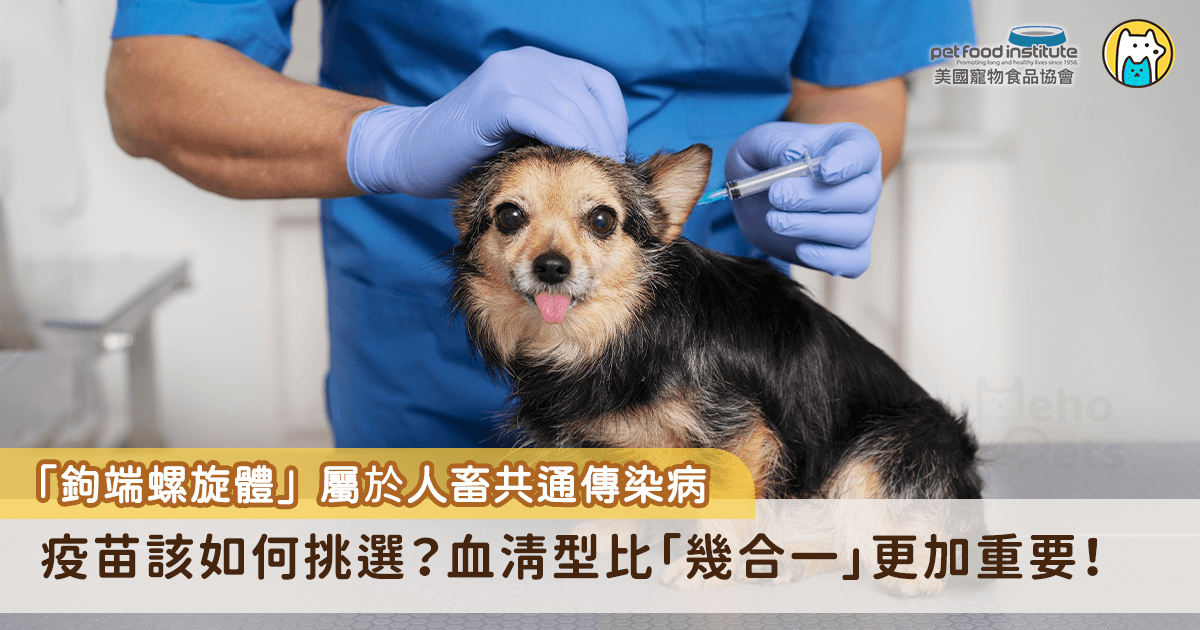 台灣夏季降頻繁加上氣溫潮濕悶熱，雨後的積水、潮濕的草地、公園裡的水坑這些日常場景可能隱藏危機-鉤端螺旋體，這並非鄉下才容易感染的疾病，台大動物醫院針對北台灣 159 隻狗狗進行調查發現，近半數確診的臨床案例皆是來自都市。
