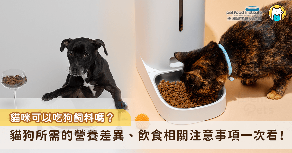 近年貓咪新登記的數量已陸續超過狗狗，以 2025 年為例，全台新登記的貓約 17.5 萬隻、狗約 7.7 萬隻，可見養貓正逐漸成為台灣家庭的主流選擇。同時，家裡同時養貓養狗的情況也愈發常見，看著兩包飼料的成分表好像差不多，不少飼主會想乾脆共用一包，或在貓糧見底時先拿狗飼料應急。但貓是天生的肉食動物，對某些營養的需求和雜食的狗相差甚遠，有些營養狗狗的身體能自己合成，貓咪卻只能從食物裡攝取。