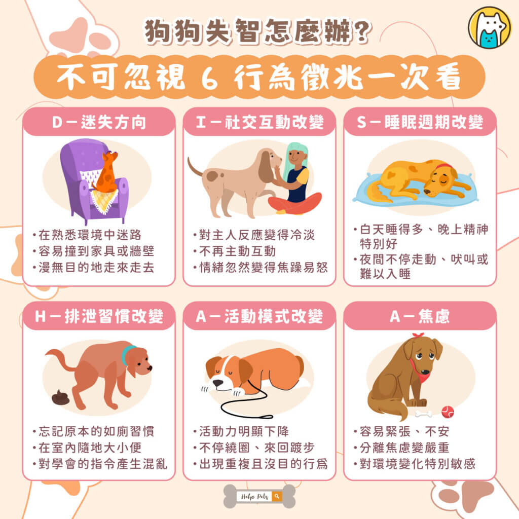 狗狗失智怎麼辦?常見 6 大行為徵兆一次看 照護、營養重點全攻略 隨著狗狗年紀增長,不少飼主會發現牠開始變得愛發呆、半夜睡不著,甚至在熟悉的家裡迷路。這些改變不一定只是「老了」,也可能是犬類認知功能障礙(Canine Cognitive Dysfunction Syndrome,CCD),也就是俗稱的狗狗失智症。