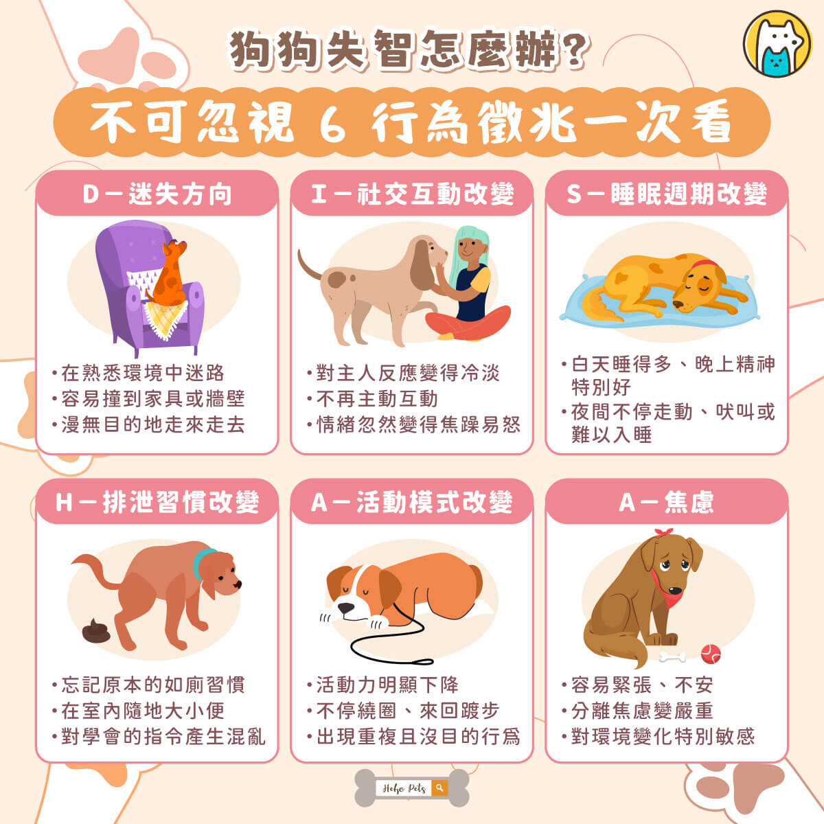 隨著狗狗年紀增長，不少飼主會發現牠開始變得愛發呆、半夜睡不著，甚至在熟悉的家裡迷路。這些改變不一定只是「老了」，也可能是犬類認知功能障礙（Canine Cognitive Dysfunction Syndrome，CCD），也就是俗稱的狗狗失智症。