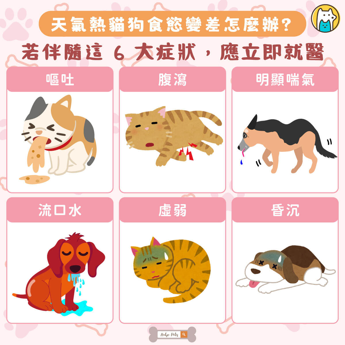 入夏後，不少飼主發現，原本一放飯就吃光的狗狗或貓咪，開始對碗裡的飼料興趣缺缺，吃幾口就離開，甚至進食時間也變得不固定。許多人第一時間會認為是挑食或飼料不合胃口，急著更換品牌或口味，卻可能讓寵物變得越來越挑嘴。