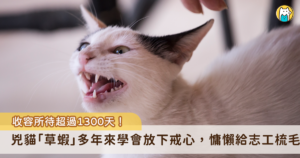 收容所的毛孩值得屬於自己的家。台北市動物之家有一隻白底虎貓班「草蝦」待在收容所超過 4 年遲遲沒有被領養，因為個性不親人加上沒有討喜的撒嬌本領，卻在志工多年的照顧下第一次卸下心防，學會重新相信人類，目前仍在等待屬於自己的幸福歸屬。