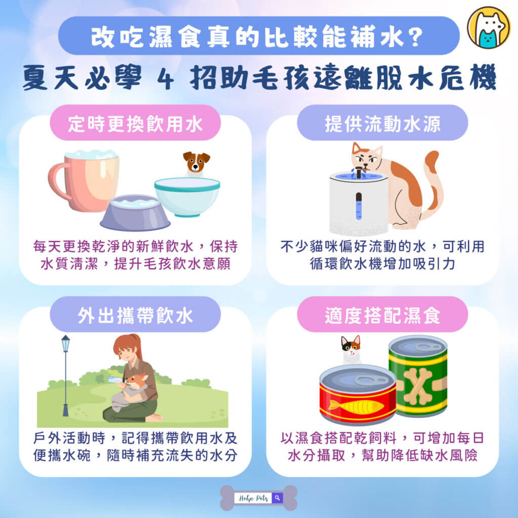 夏天天氣炎熱，不只人容易流汗缺水，毛孩也同樣面臨脫水風險。水分是維持寵物健康不可或缺的關鍵，參與體溫調節、消化吸收、關節潤滑及器官運作等重要生理功能。不過，許多貓咪天生不愛喝水，狗狗在戶外活動後也未必會主動補充水分，因此不少飼主會選擇改餵濕食，希望增加毛孩的水分攝取。究竟濕食真的能幫助補水嗎？