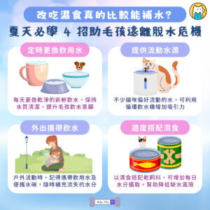 夏天天氣炎熱，不只人容易流汗缺水，毛孩也同樣面臨脫水風險。水分是維持寵物健康不可或缺的關鍵，參與體溫調節、消化吸收、關節潤滑及器官運作等重要生理功能。不過，許多貓咪天生不愛喝水，狗狗在戶外活動後也未必會主動補充水分，因此不少飼主會選擇改餵濕食，希望增加毛孩的水分攝取。究竟濕食真的能幫助補水嗎？