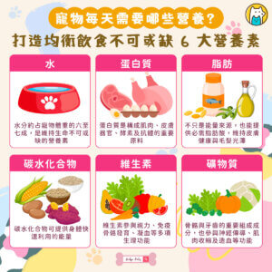飲食是維持毛孩健康的基礎，但究竟怎麼吃才算營養均衡？無論是狗狗還是貓咪，每天都需要超過 40 種營養素來維持身體正常運作，而這些營養可歸納為六大類：水、蛋白質、脂肪、碳水化合物、維生素及礦物質。每一種營養素都有不同的功能，缺乏或攝取失衡，都可能影響寵物的生長、免疫力與整體健康。