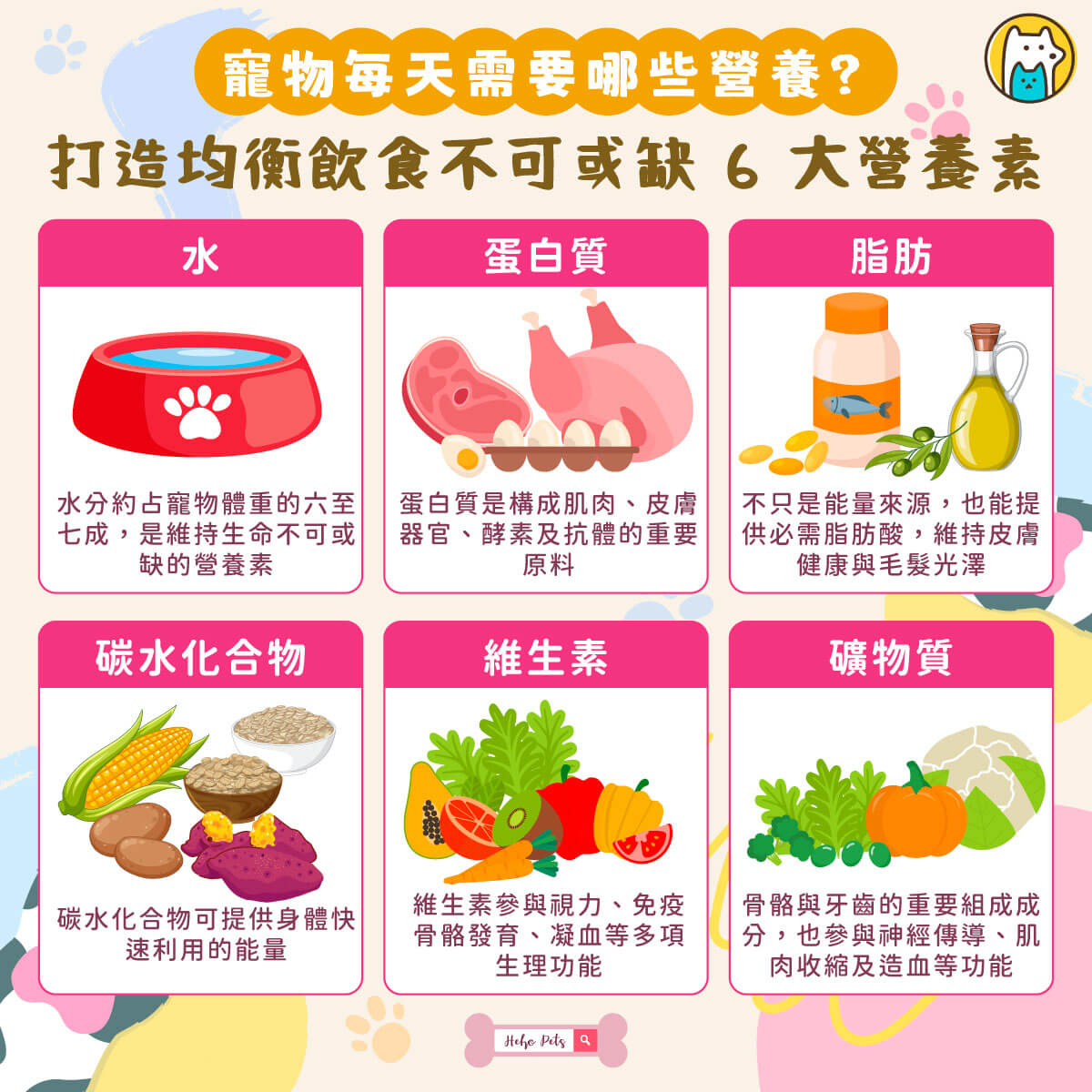 飲食是維持毛孩健康的基礎，但究竟怎麼吃才算營養均衡？無論是狗狗還是貓咪，每天都需要超過 40 種營養素來維持身體正常運作，而這些營養可歸納為六大類：水、蛋白質、脂肪、碳水化合物、維生素及礦物質。每一種營養素都有不同的功能，缺乏或攝取失衡，都可能影響寵物的生長、免疫力與整體健康。