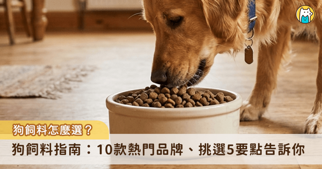 狗飼料怎麼挑? 營養需求與挑選重點、10款熱門狗飼料推薦 面對琳瑯滿目的商品,讓飼主不知從何開始挑選,本文將詳細從狗狗的 6 大營養需求、主食種類以及飼料挑選的指南,以及彙整出網路上 10 款熱門的狗飼料以及品牌介紹,並提供各品項的特色與適用年齡,讓您依照自身需求為愛犬找出最合適的飲食選擇。