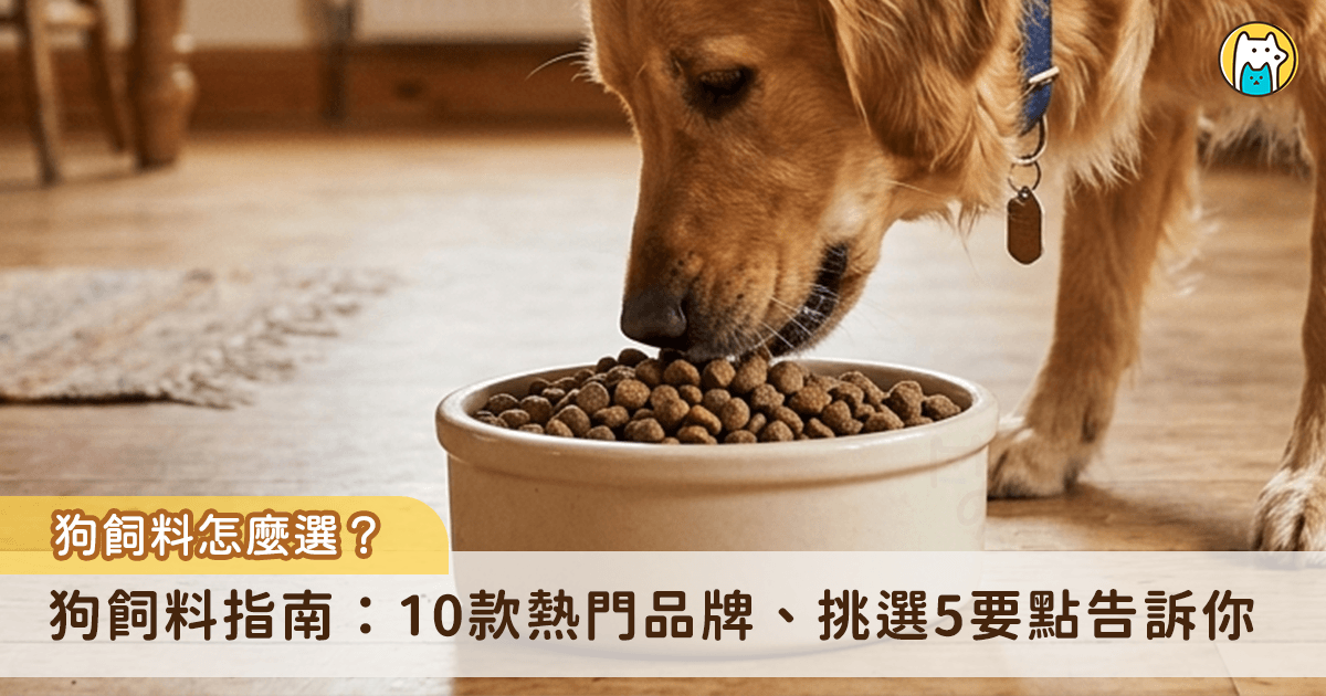 面對琳瑯滿目的商品，讓飼主不知從何開始挑選，本文將詳細從狗狗的 6 大營養需求、主食種類以及飼料挑選的指南，以及彙整出網路上 10 款熱門的狗飼料以及品牌介紹，並提供各品項的特色與適用年齡，讓您依照自身需求為愛犬找出最合適的飲食選擇。