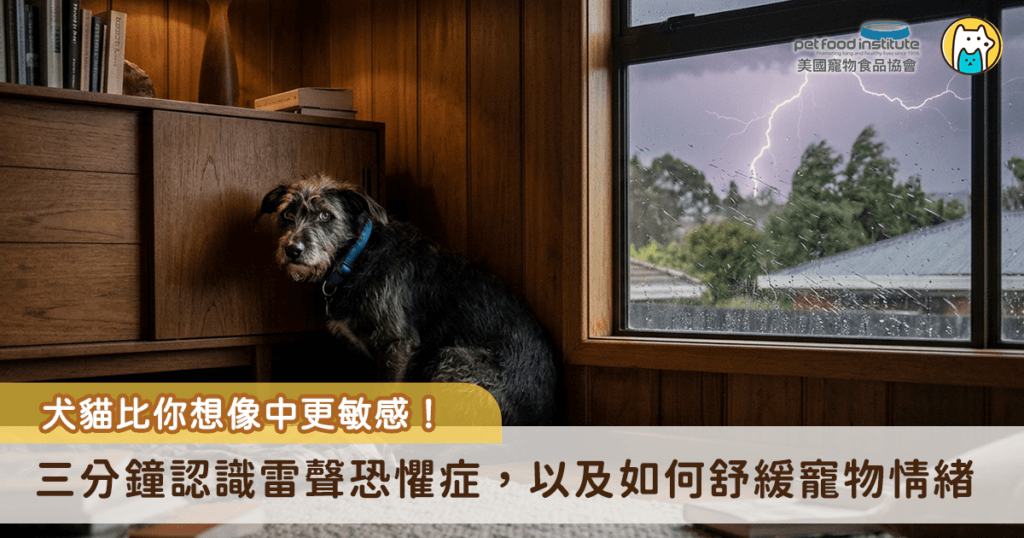 台灣夏季常有劇烈的午後雷陣雨，每當雷聲轟隆作響，不少飼主會發現家中寵物出現異常行為，有些躲在狹窄角落不敢出來，有些則狂吠不止、躁動不安。寵物的感官比人類敏感很多，雷雨天帶來的氣壓變化、閃電光線與巨響，對牠們來說都是巨大的壓力來源。