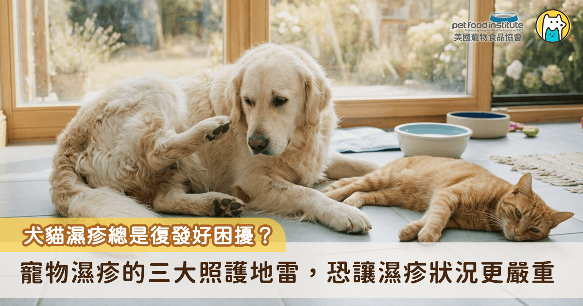 夏季高溫潮濕的環境容易增加犬貓皮膚問題發生機率，不少飼主會發現寵物開始頻繁抓癢、舔腳，甚至出現掉毛、皮膚紅腫、滲液等狀況，這些統稱為「濕疹」；然而，濕疹其實只是皮膚發炎的表現，背後可能與過敏、細菌感染、寄生蟲叮咬或環境因素有關。