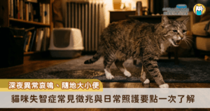 隨著家貓壽命延長，高齡貓的「認知功能障礙（Cognitive Dysfunction Syndrome，CDS）」，即俗稱的貓咪失智症，也越來越常見。若家中老貓出現深夜異常哀鳴、隨地大小便、作息紊亂或對環境感到迷惘等行為變化，這不一定只是正常老化，也可能是腦部退化的警訊。貓咪失智症雖無法逆轉，但透過早期辨識與適當的居家照護，也能有效維持牠們的生活品質。