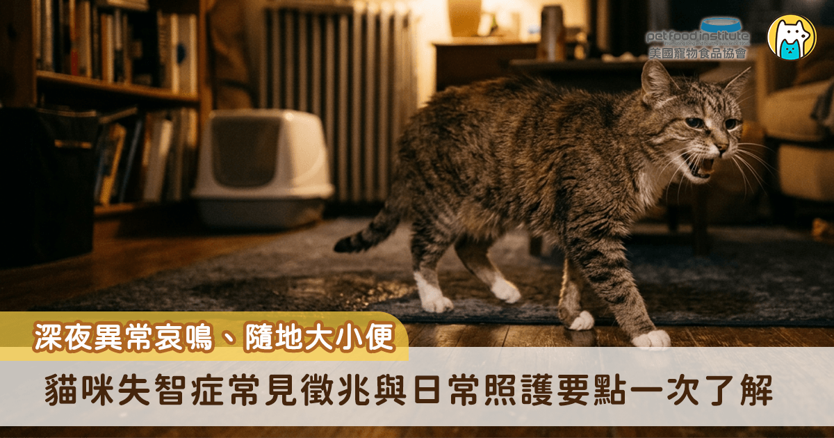 隨著家貓壽命延長，高齡貓的「認知功能障礙（Cognitive Dysfunction Syndrome，CDS）」，即俗稱的貓咪失智症，也越來越常見。若家中老貓出現深夜異常哀鳴、隨地大小便、作息紊亂或對環境感到迷惘等行為變化，這不一定只是正常老化，也可能是腦部退化的警訊。貓咪失智症雖無法逆轉，但透過早期辨識與適當的居家照護，也能有效維持牠們的生活品質。