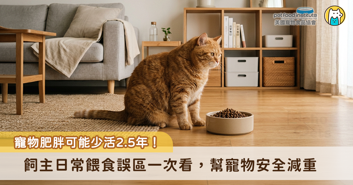 根據國外學者的研究顯示，肥胖狗狗的平均壽命比健康體態的狗少活 2.5 年，過多的脂肪細胞會持續引發體內慢性發炎，導致骨關節磨損、加重心臟負擔並提高糖尿病風險。因此，了解正確減重的方法，才能讓寵物陪你更久。