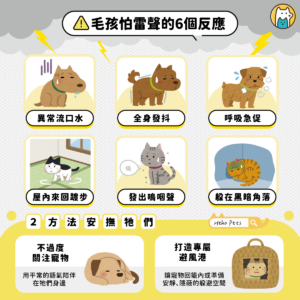 台灣夏季午後常有雷陣雨，對感官比人類敏銳許多的犬貓來說，雷雨帶來的氣壓驟降、閃電光線、雨水臭氧氣味與巨響，都是巨大的壓力來源。當牠們感到極度焦慮時，壓力狀態可能持續 4 至 6 小時，甚至影響 1 至 2 天的生活作息。