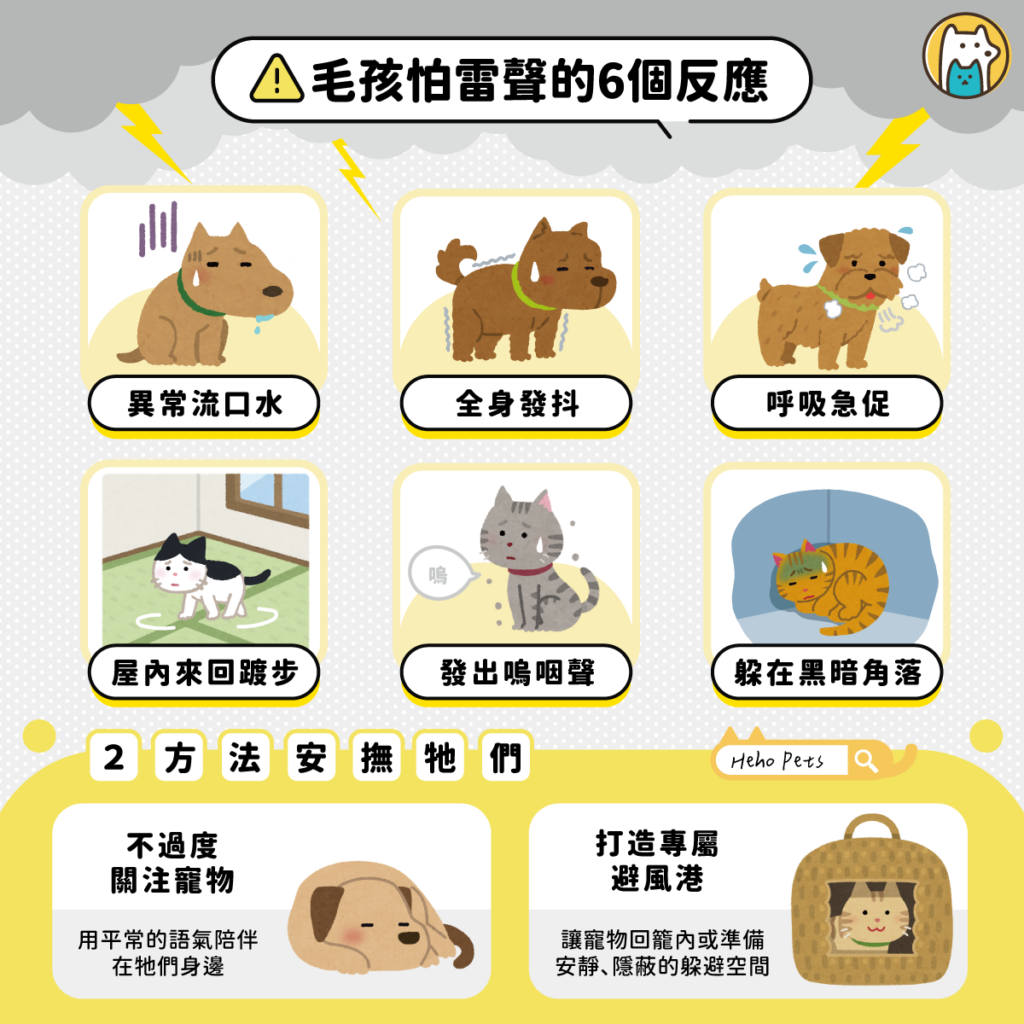 打雷就嚇壞?看懂毛孩雷聲恐懼症:6焦慮反應與2招即時安撫法 台灣夏季午後常有雷陣雨,對感官比人類敏銳許多的犬貓來說,雷雨帶來的氣壓驟降、閃電光線、雨水臭氧氣味與巨響,都是巨大的壓力來源。當牠們感到極度焦慮時,壓力狀態可能持續 4 至 6 小時,甚至影響 1 至 2 天的生活作息。