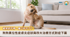 當狗狗常常抓個不停、皮膚紅腫、破皮、掉毛甚至傷口久久不癒，很可能是罹患了「犬異位性皮膚炎（Canine Atopic Dermatitis, CAD）」，這是臨床上常見的過敏性皮膚疾病，與免疫系統過度活躍有關。