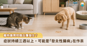 家裡寵物頻繁拉肚子或每隔幾天就吐一次，起初會以為只是吃壞肚子，但若這些狀況反覆拖了好幾週，甚至體重漸漸下降，很可能是「發炎性腸病（Inflammatory Bowel Disease, IBD）」在作祟。