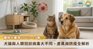 近期 COVID-19 疫情再度升溫，許多飼主在做好自身防疫的同時，也會擔心：「我家貓狗會不會也感染新冠病毒？會不會生病甚至傳染給人？」事實上，貓狗感染人類新冠病毒的機率微乎其微，根據世界動物衛生組織調查，COVID-19 疫情的擴散主要還是來自人與人之間的傳播，與動物的關聯性極低。