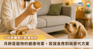 中秋節快到了，很多飼主看著寵物水汪汪的眼神，總忍不住想分牠一口月餅、一塊烤肉，增添過節的儀式感，不過若是不當餵食，反而可能釀成悲劇。