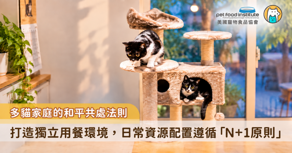 隨著多貓家庭的比例增加，如何讓天生重視地盤的貓咪和睦同住，成為多貓飼主的重要課題之一。貓咪對於食物、飲水、休憩角落與排泄環境都有天生的佔有慾，一旦感受到資源短缺或必須與同伴競爭，很容易產生焦慮與壓力，進而引起搶食、打架等衝突行為。建立充足且合理的資源分配，是維持多貓家庭穩定的關鍵。