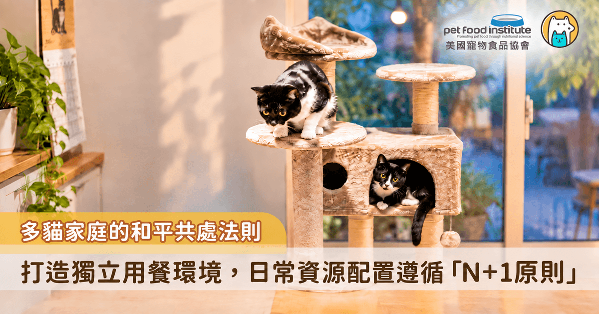 隨著多貓家庭的比例增加，如何讓天生重視地盤的貓咪和睦同住，成為多貓飼主的重要課題之一。貓咪對於食物、飲水、休憩角落與排泄環境都有天生的佔有慾，一旦感受到資源短缺或必須與同伴競爭，很容易產生焦慮與壓力，進而引起搶食、打架等衝突行為。建立充足且合理的資源分配，是維持多貓家庭穩定的關鍵。