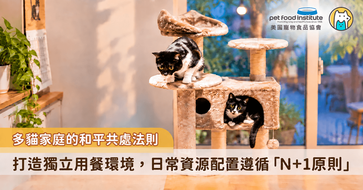 隨著多貓家庭的比例增加，如何讓天生重視地盤的貓咪和睦同住，成為多貓飼主的重要課題之一。貓咪對於食物、飲水、休憩角落與排泄環境都有天生的佔有慾，一旦感受到資源短缺或必須與同伴競爭，很容易產生焦慮與壓力，進而引起搶食、打架等衝突行為。建立充足且合理的資源分配，是維持多貓家庭穩定的關鍵。