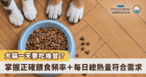 「犬貓一天到底需要吃幾餐？」有些飼主習慣早晚各餵一次，有些飼主則擔心寵物餓肚子，會在碗裡隨時補滿食物。其實，犬貓的餵食頻率並沒有一套適用所有寵物的答案，年齡、體型、活動量與健康狀況，都會影響牠們一天需要吃幾餐、吃多少。比起單純追求「多餐」或「少餐」，更重要的是根據寵物每日熱量需求控制份量，並安排最合適的餵食節奏。