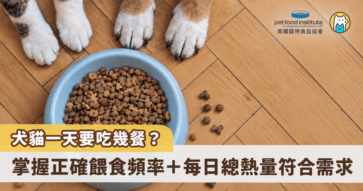 「犬貓一天到底需要吃幾餐？」有些飼主習慣早晚各餵一次，有些飼主則擔心寵物餓肚子，會在碗裡隨時補滿食物。其實，犬貓的餵食頻率並沒有一套適用所有寵物的答案，年齡、體型、活動量與健康狀況，都會影響牠們一天需要吃幾餐、吃多少。比起單純追求「多餐」或「少餐」，更重要的是根據寵物每日熱量需求控制份量，並安排最合適的餵食節奏。